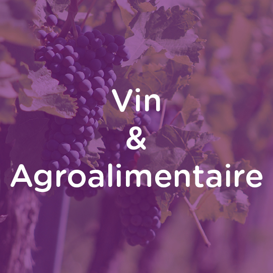 vin_agroalimentaire