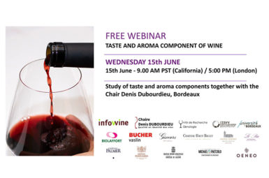 Webinaire international sur les composants du goût et de l’arôme des vins, le 15 juin