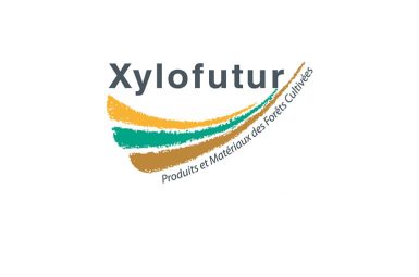 Lancement du 2e appel à projet 2013 pour le pôle de compétitivité Xylofutur